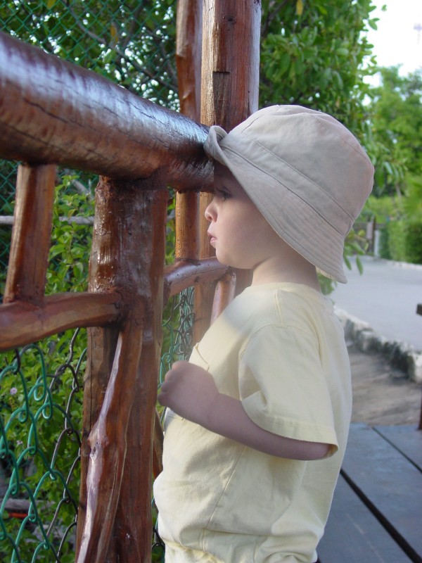 Click for original image 818k 1200x1600